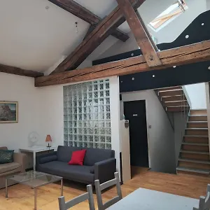  Accommodatie bij particulieren Loft Viarhona, Grand Loft En Centre-ville